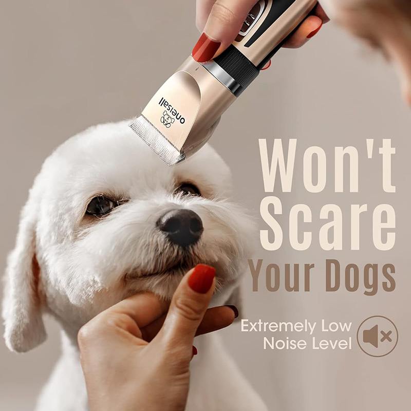 Pet Product